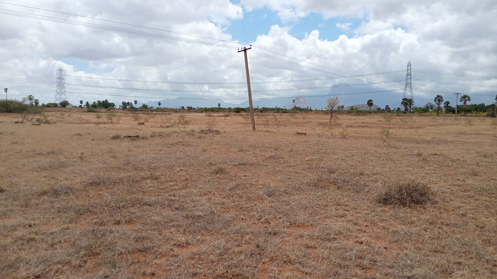 Main Plot View